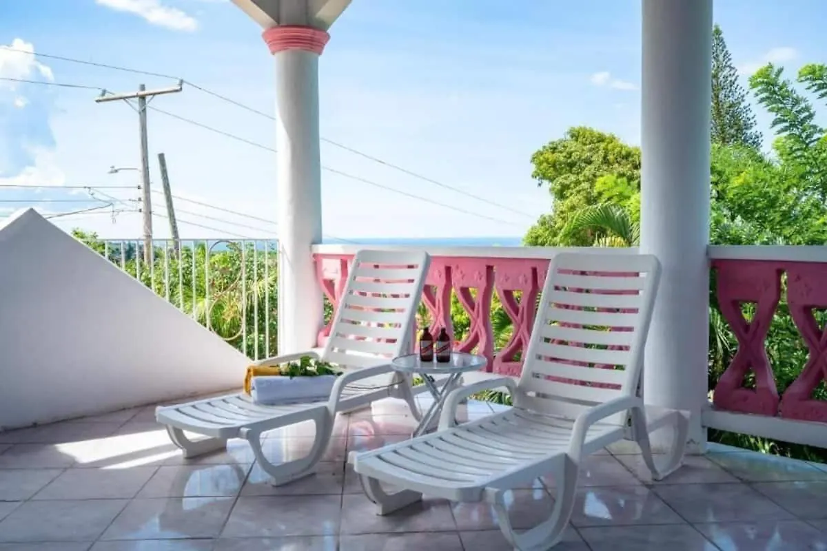 Sweetsop Jamaica Villa And Tours Montego Bay